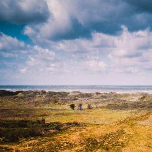 Groepsreizen Denemarken Rondreis.jpg