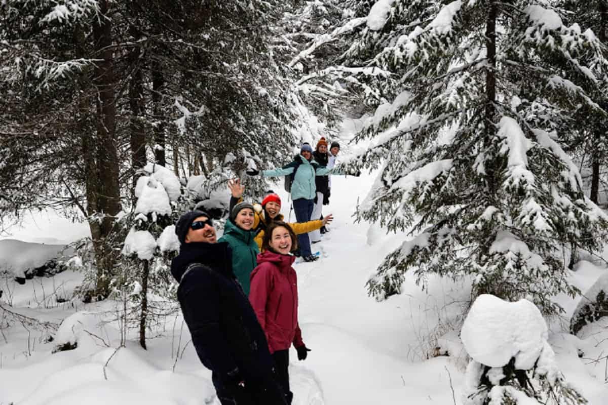 Noorwegen Groep Winter