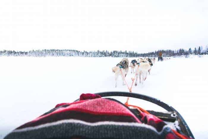 Singlevakantie Husky Levi.jpg