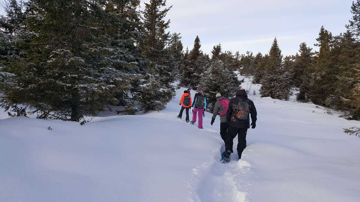 Winter Noorwegen Actief.jpg