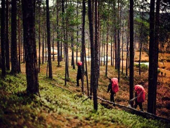 Groepsreis Finland Actief Hike.jpg