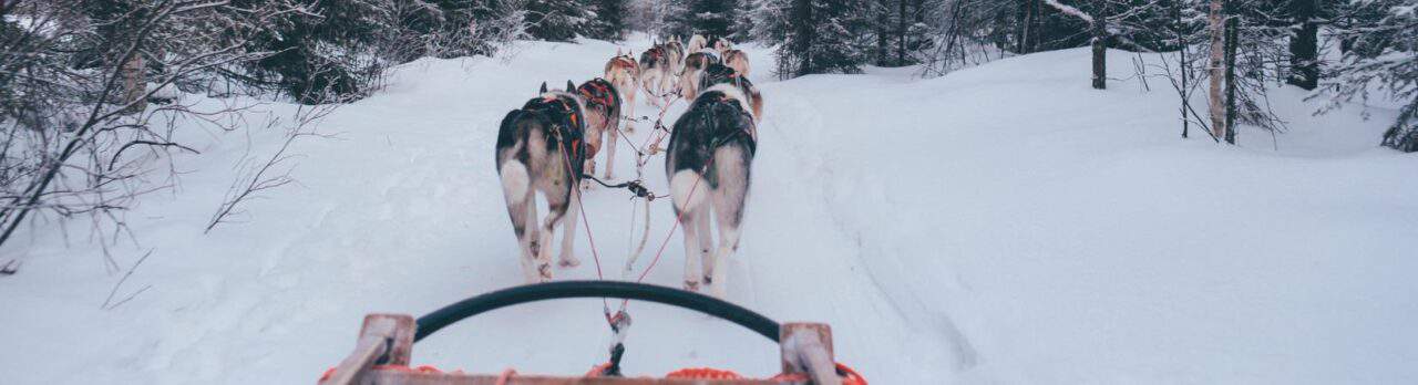 2039 100032 Groepsreis Winter Lapland