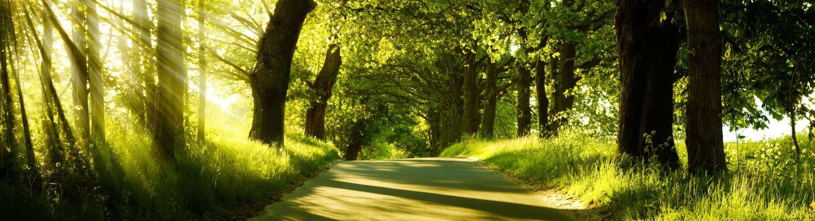 groepsreis ardennen3 actief