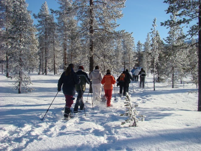 sneeuwschoenwandelen lapland winter