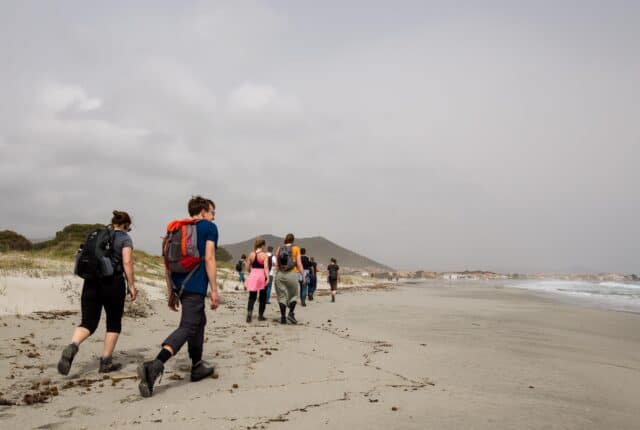 single hiken strand