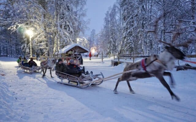 groepsreis rendiertocht lapland