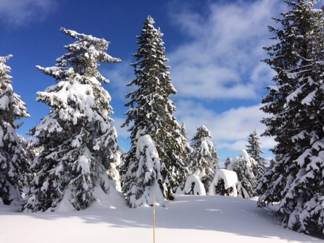 groepsreizen-scandinavie-winter