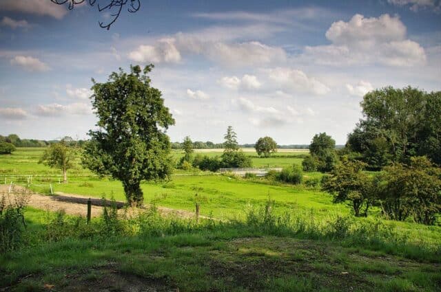singlereis natuur nederland