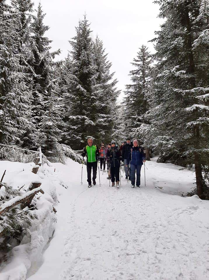 sneeuwschoen wandelen winter