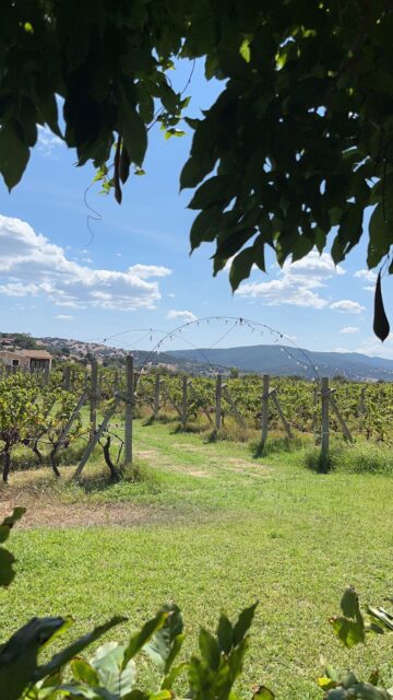 Groepsreis Sardinie