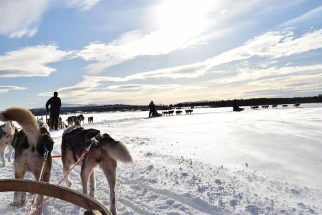 winter lapland levi