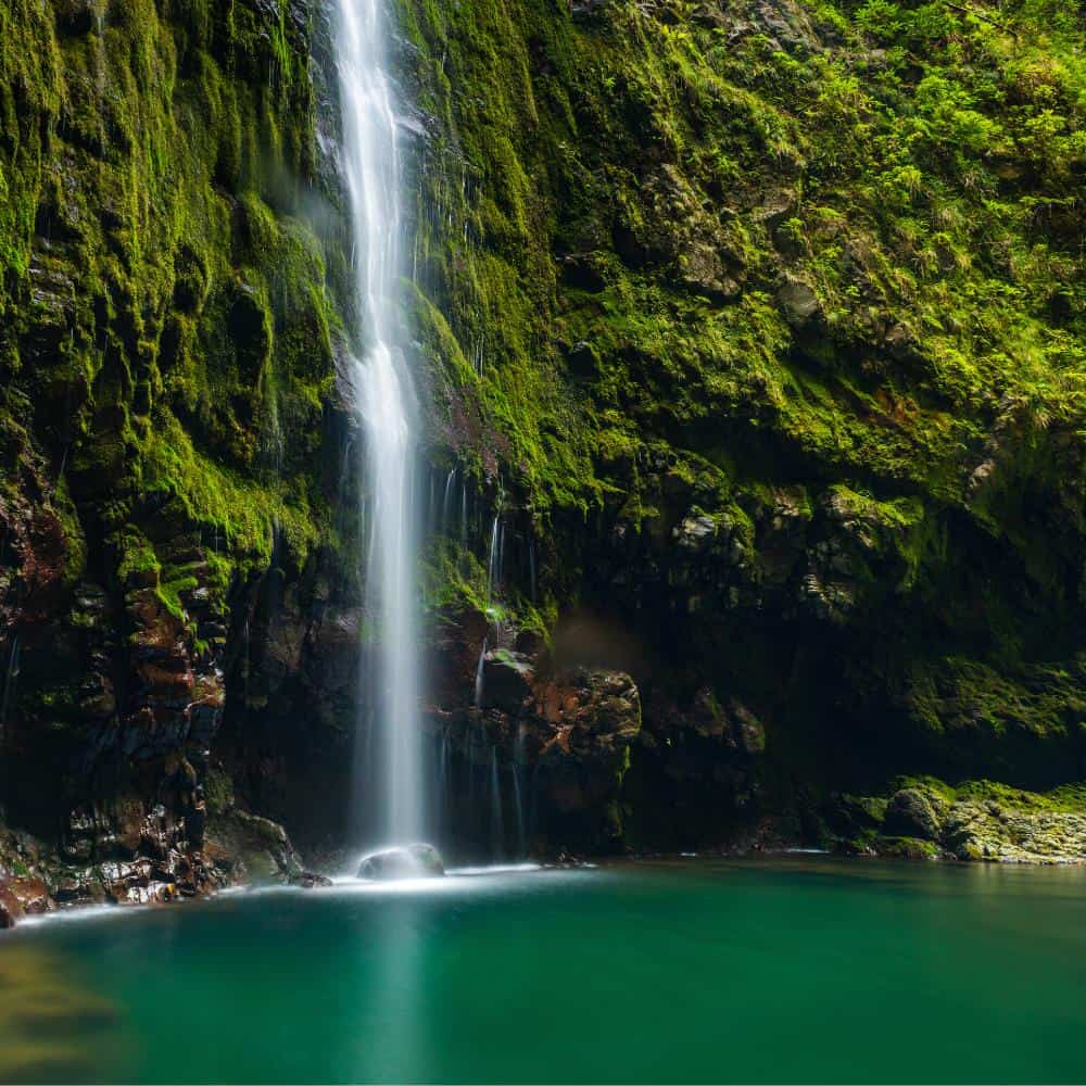 avontuurlijke single reis madeira