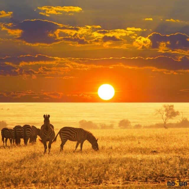 namibië-noSun-groepsreis-game-drive-sundown