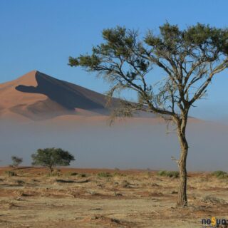 singlereis-namibië-noSun-sossusvlei