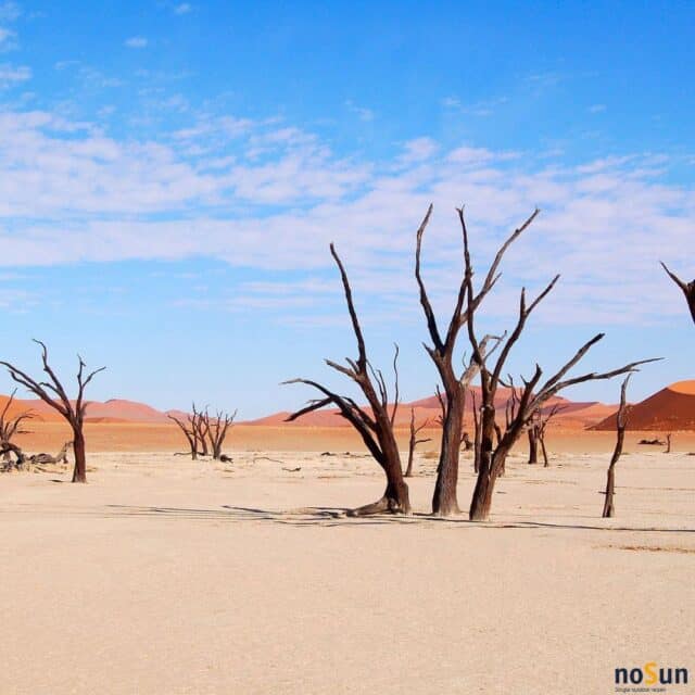 singlereis-namibië-sossusvlei-noSun