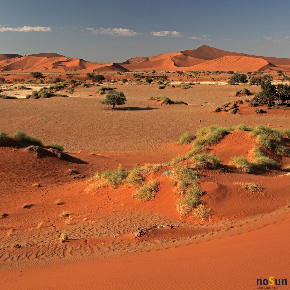 singlereis-namibië-sossusvlei-noSun-oranje-duinen