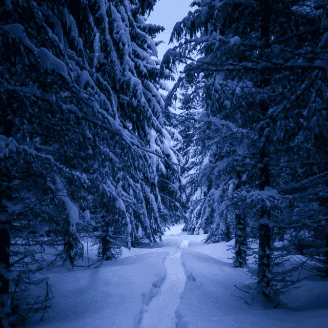 sneeuw noorwegen wandelen nosun
